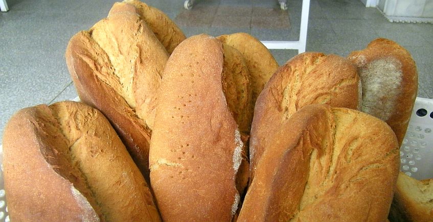panes Alcalá